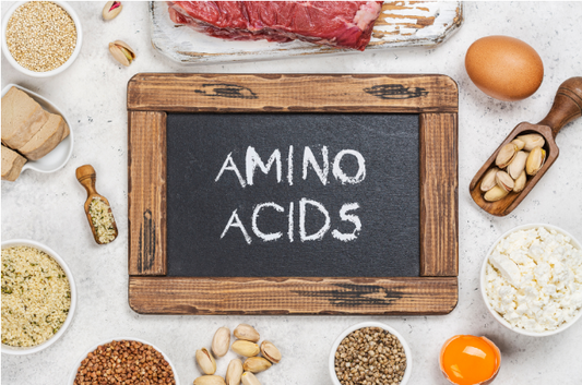 amino acids 